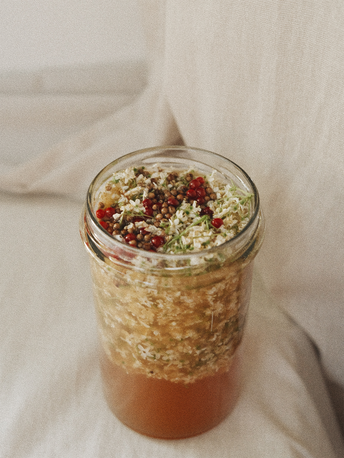 TT_BLOG_HARVEST_2